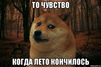 то чувство когда лето кончилось