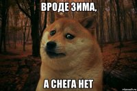 вроде зима, а снега нет