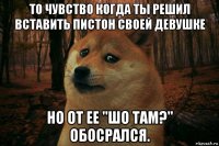 то чувство когда ты решил вставить пистон своей девушке но от ее "шо там?" обосрался.