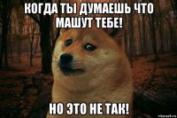 когда ты думаешь что машут тебе! но это не так!