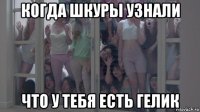 когда шкуры узнали что у тебя есть гелик