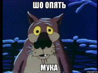 шо опять мука