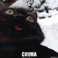 с скума