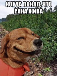 когда понял, что рина жива 