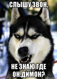 слышу звон, не знаю где он.димон?