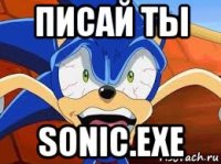 писай ты sonic.exe