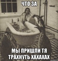 что за мы пришли тя трахнуть хахахах