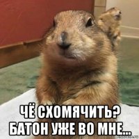  чё схомячить? батон уже во мне...