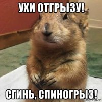 ухи отгрызу! сгинь, спиногрыз!