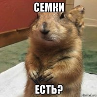 семки есть?