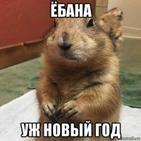 ёбана уж новый год