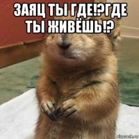 заяц ты где!?где ты живёшь!? 