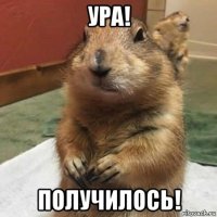 ура! получилось!