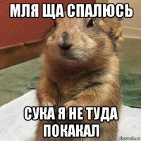 мля ща спалюсь сука я не туда покакал