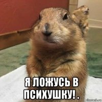  я ложусь в психушку! .