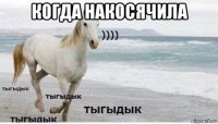 когда накосячила 