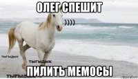 олег спешит пилить мемосы