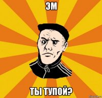 эм ты тупой?
