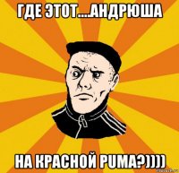 где этот....андрюша на красной puma?))))