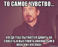 то самое чувство... когда тебе пытаются давить на совесть и выставить виноватым в женских косяках