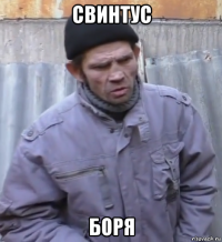 свинтус боря