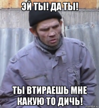 эй ты! да ты! ты втираешь мне какую то дичь!