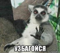 узбагойся