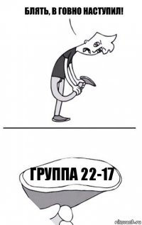 группа 22-17