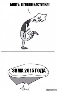 Зима 2015 года