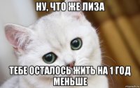 ну, что же лиза тебе осталось жить на 1 год меньше