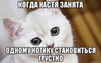 когда настя занята одному котику становиться грустно