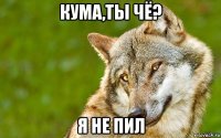 кума,ты чё? я не пил