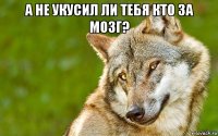 а не укусил ли тебя кто за мозг? 