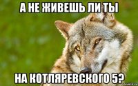 а не живешь ли ты на котляревского 5?