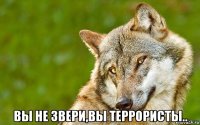  вы не звери,вы террористы..