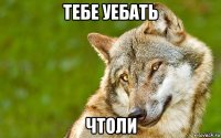 тебе уебать чтоли