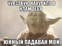 чувствую накурило в хлам тебя юнный падаван мой