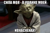 сила моя - в ушанке моей ивкаскенах!