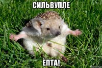 сильвупле ёпта!