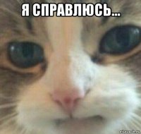 я справлюсь... 