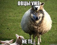 овцы уже не те...