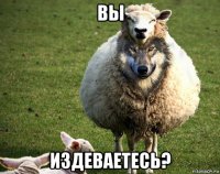 вы издеваетесь?