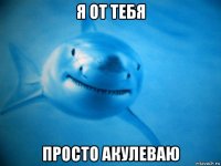 я от тебя просто акулеваю