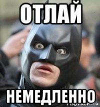 отлай немедленно