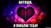 антоша, я люблю тебя!