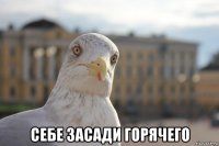  себе засади горячего