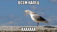 всем капец ахахаха