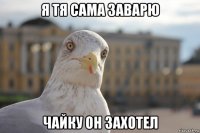 я тя сама заварю чайку он захотел