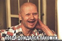  когда дождался лакомки