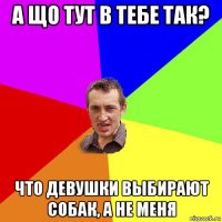 а що тут в тебе так? что девушки выбирают собак, а не меня